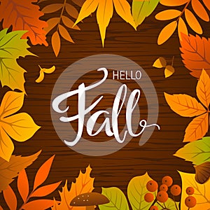 Hello fall seasonal autumn leaves frame background