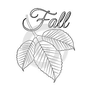 Hello, falling vector art natural autumn leaf of hand-drawn illustration isolated on a white background