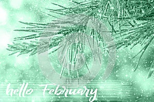 HELLO FEBRUARY greeting card. Winter holidays concept.