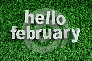 Hello February made from concrete alphabet on green grass
