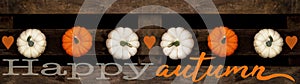 Hello / happy autumn background banner panorama - Top view from different autumnal orange and white colorful pumpkins on old