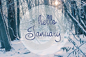 HELLO JANUARY greeting card. Winter holidays concept
