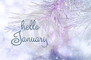 HELLO JANUARY greeting card. Winter holidays concept.