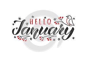 Hello january hand drawn lettering card with doodle snowlakes and bird. Inspirational winter quote.