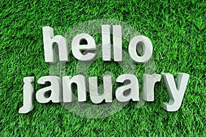 Hello January made from concrete alphabet on green grass