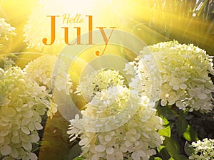 Hello July - inspirational motivation quote