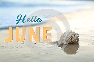 Hello June. Beautiful seashell on sandy beach photo