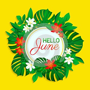 Hello June card. Summer tropic design. Exotic leaves, flowers. simple text. Vector background with round frame. Colored