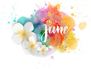 Hello June - floral summer concept background photo