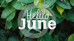 Hello June Greeting Card