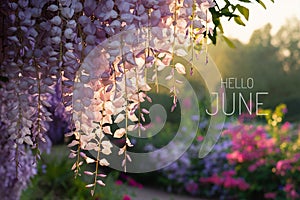 Hello June greeting text on a blooming garden background. Selective focus.