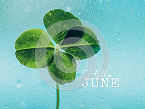 Hello June - inspirational motivation quote