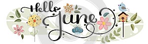 Hello June. June month vector decoration with flowers, bird house and leaves. Illustration month June