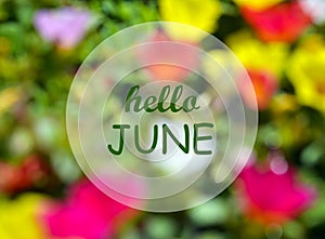 Hello June.Welcoming card with text on natural blurred floral background.Summertime concept.