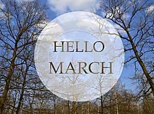 Hello March greeting card.Branches of spring trees in the forest on a blue sky background.