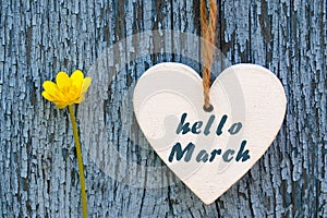 Hello March greeting card with decorative white heart and yellow spring flower on old blue wooden background.