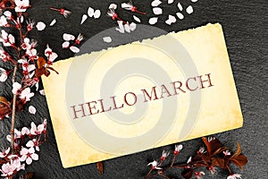 Hello march photo