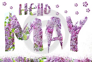 Hello May background photo