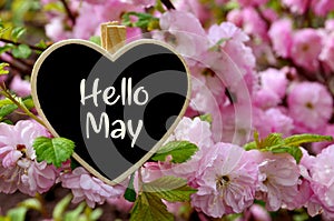 Hello May greeting card with decorative heart and pink spring flowers.Springtime concept with copy space.