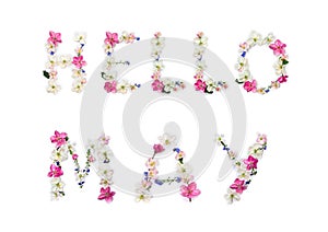 Hello May lettering text from of flowers apple tree and blue wildflowers forget-me-nots on white background. Top view, flat lay