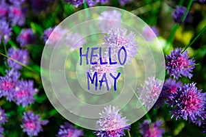 Hello May, message with Beautiful nature scene