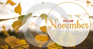 Hello November autumn composition. Yellow and orange leaves on sky background photo