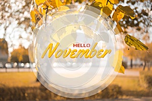 Hello November. Autumn concept. Composition in park. Yellow leaves tree landscape