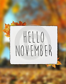 Hello November autumn text on white plate board banner fall leaves blur background
