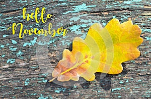 Hello November.Colorful autumn background with yellow oak tree leaf on a blue colored old wooden texture.