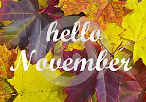 Hello November.Colorful maple leaves.Autumn concept.Fall season background.