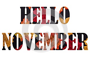 Hello november lettering sign from autumn leaves isolated on white background