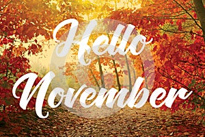 Hello November photo