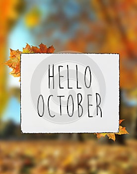 Hello October autumn text on white plate board banner fall leav