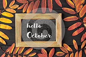 HELLO OCTOBER lettering card. Concept of the fall season photo