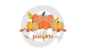 Hello Pumpkin Season Cute Hand Drawn Vector