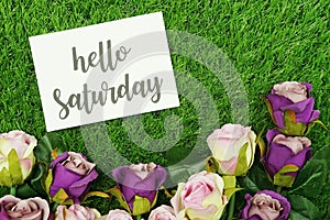 Hello Saturday Card and Roses flower with space copy background