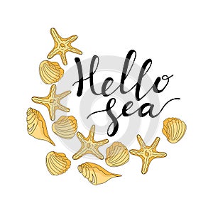 Hello sea card. Isolated objects on white background. Hand drawing. Vector illustration