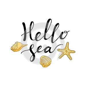 Hello sea card. Isolated objects on white background. Hand drawing. Vector illustration.