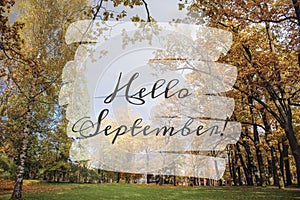 Hello September banner. New month. Greeting card. Golden autumn. The text in the photo. Trees in the park. City Park. Autumn Park