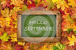 Hello September Maple leaves chalkboard Autumn background