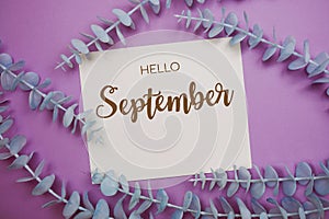 Hello September typography text on paper card decorate with eucalyptus on purple background