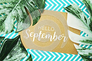 Hello September typography text on paper card with Monstera leaves