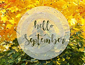 Hello September.Yellow and green maple leaves background with text.Fall season concept.