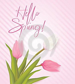 Hello spring background