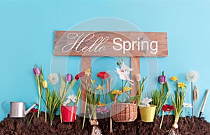 Hello spring background