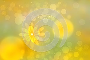 Hello spring background. Abstract bright spring or summer landscape texture with natural yellow green bokeh lights and sun flowers