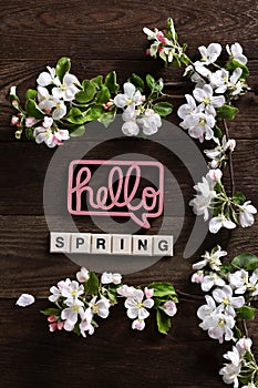 Hello spring background with apple blossom branch frame