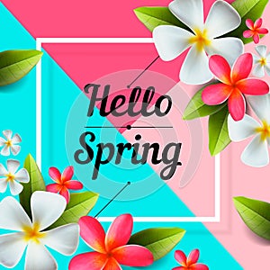 Hello Spring background with beautiful colorful flowers, vector.