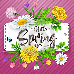 Hello Spring background with beautiful flower and insects on striped purple background