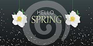Hello spring background with beautiful white flowers. Spring holidays. Fresh Design Template for banner, flyers